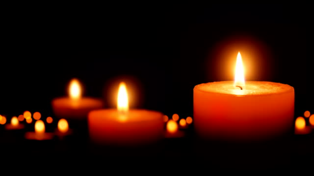 In Memoriam – Ted Savetnick